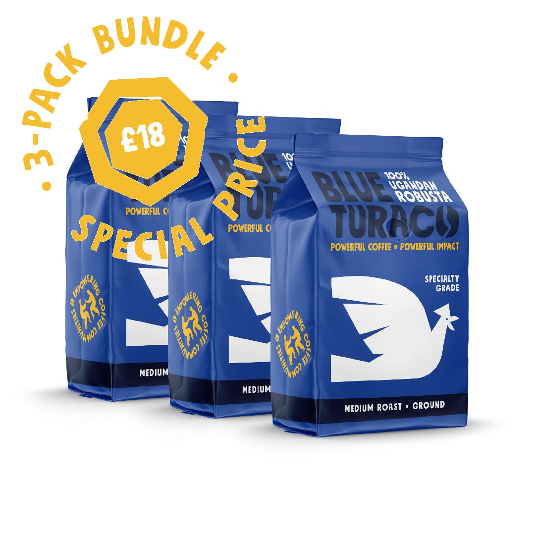 Blue Turaco 3 Pack Bundle (GROUND) - Blue Turaco Coffee