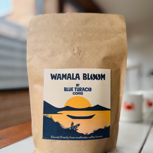 Wamala Bloom (Limited Edition)